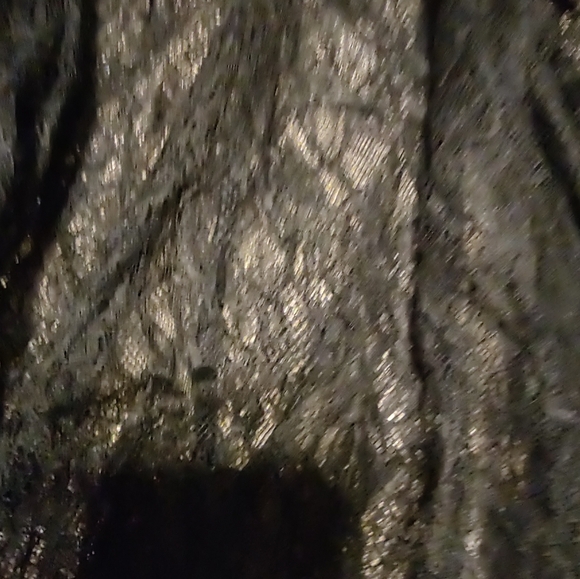 🐈⬛ Divine VS Vintage Victorian Inspired Black Sheer Crepe & Lace Blouse - L - Picture 9 of 15